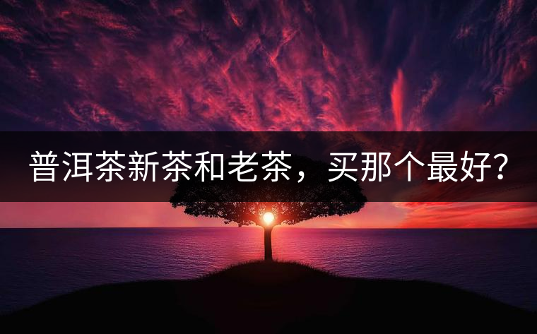 普洱茶新茶和老茶，買(mǎi)那個(gè)最好？