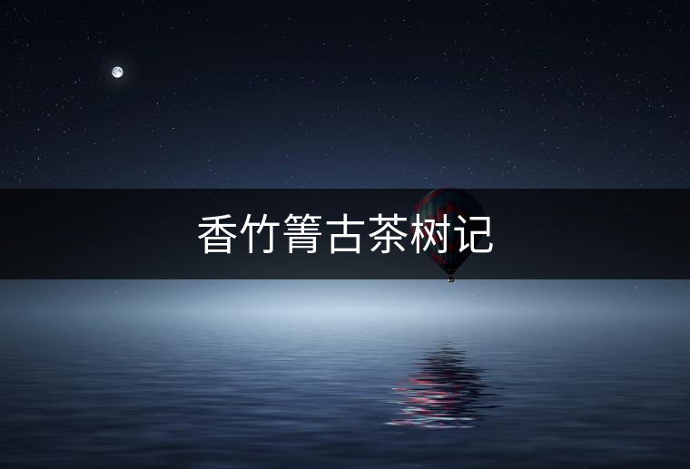 香竹箐古茶樹記 香竹箐古茶樹記