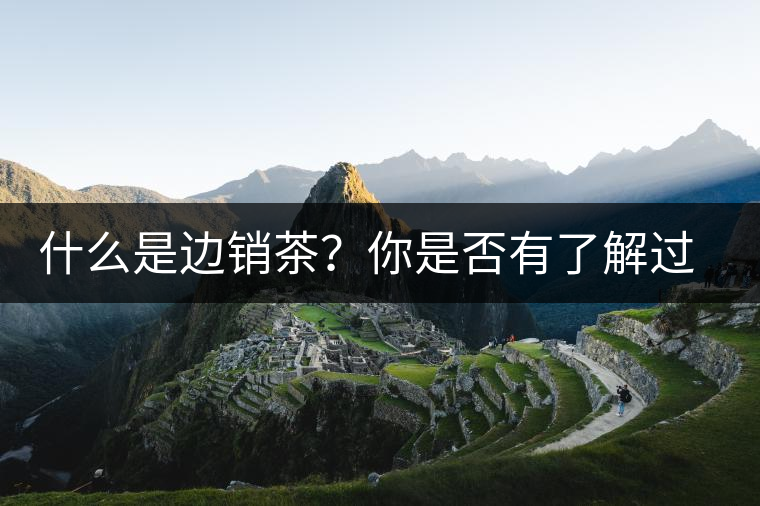 什么是邊銷茶？你是否有了解過邊銷茶呢？