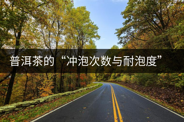 普洱茶的“沖泡次數(shù)與耐泡度”，你都了解嗎？