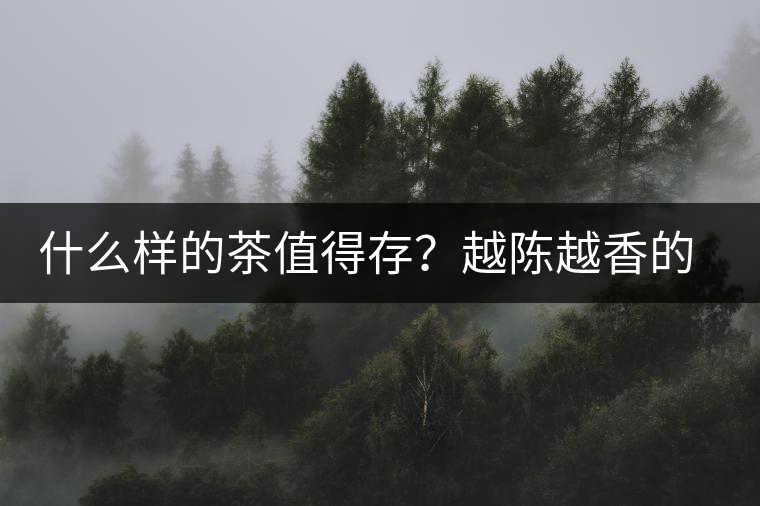 什么樣的茶值得存？越陳越香的本質(zhì)是什么？