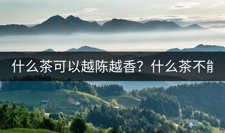 什么茶可以越陳越香？什么茶不能？