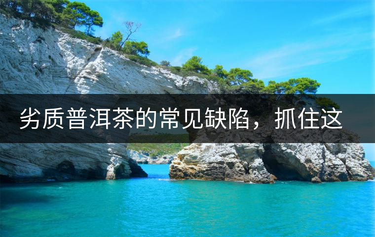 劣質(zhì)普洱茶的常見缺陷，抓住這三個(gè)特征，拒絕劣質(zhì)茶！