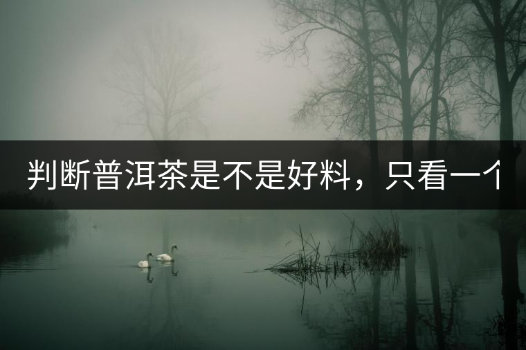 判斷普洱茶是不是好料，只看一個(gè)地方！