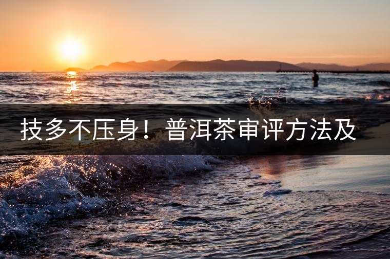 技多不壓身！普洱茶審評方法及專業(yè)術(shù)語大全（下）