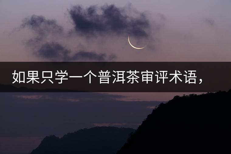 如果只學(xué)一個普洱茶審評術(shù)語，那應(yīng)該是什么？