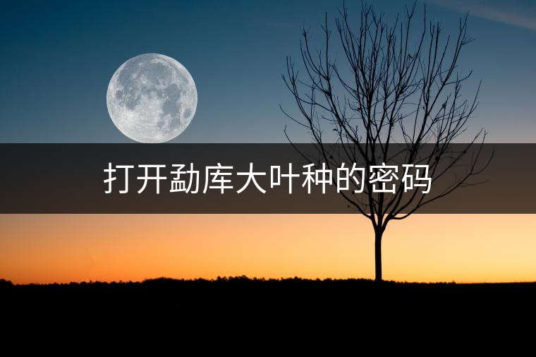 打開(kāi)勐庫(kù)大葉種的密碼