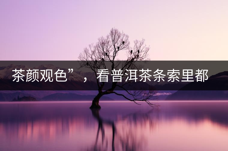 茶顏觀色”，看普洱茶條索里都蘊含著怎樣的“密碼”？