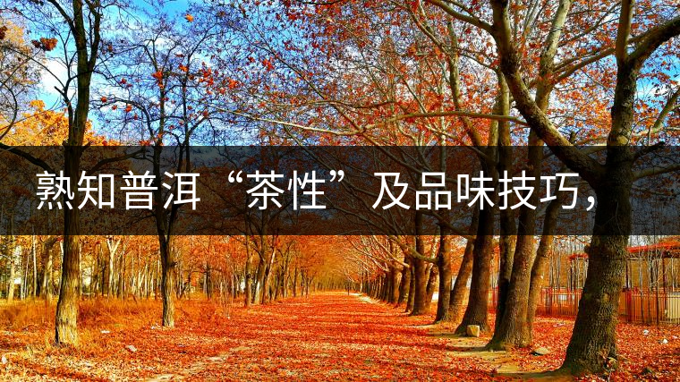熟知普洱“茶性”及品味技巧，方能品出好茶