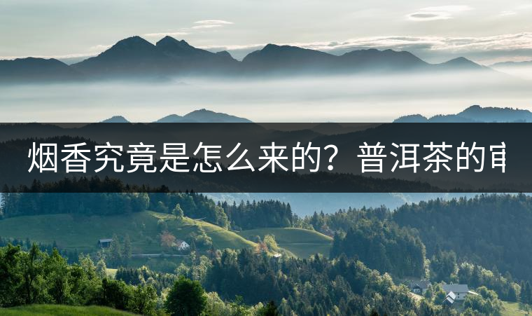 煙香究竟是怎么來(lái)的？普洱茶的審美困局。