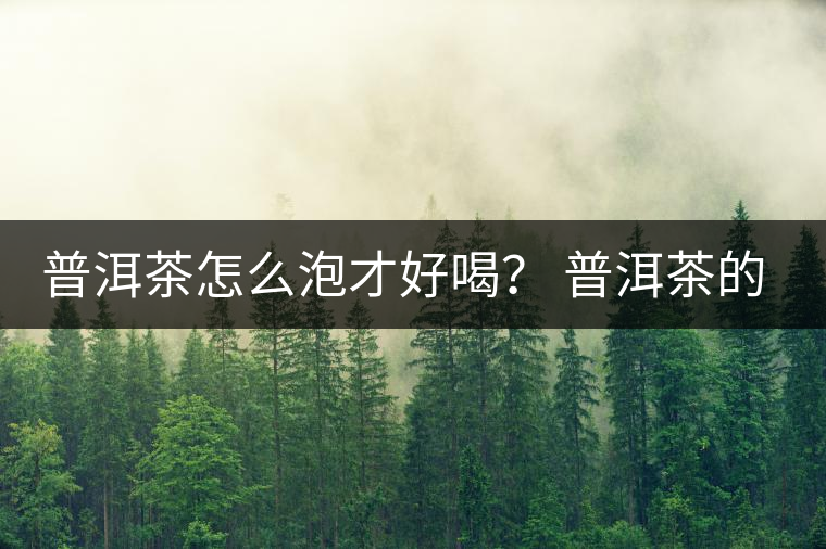 普洱茶怎么泡才好喝？ 普洱茶的沖泡技巧！