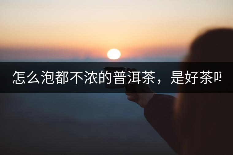 怎么泡都不濃的普洱茶，是好茶嗎？