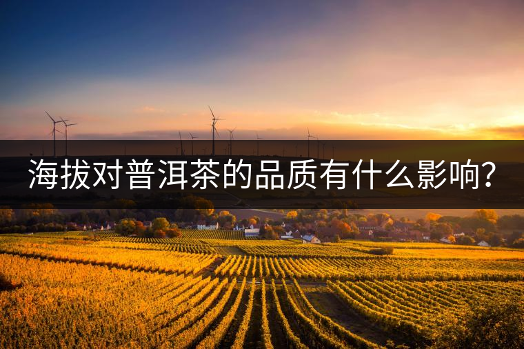 海拔對普洱茶的品質(zhì)有什么影響？