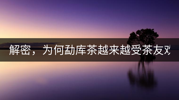 解密，為何勐庫茶越來越受茶友歡迎！