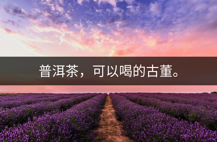 普洱茶，可以喝的古董。