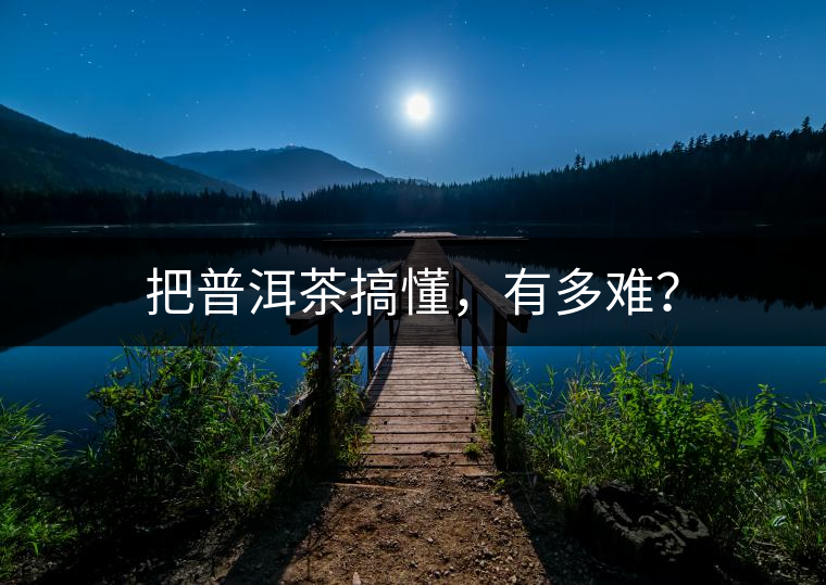 把普洱茶搞懂，有多難？