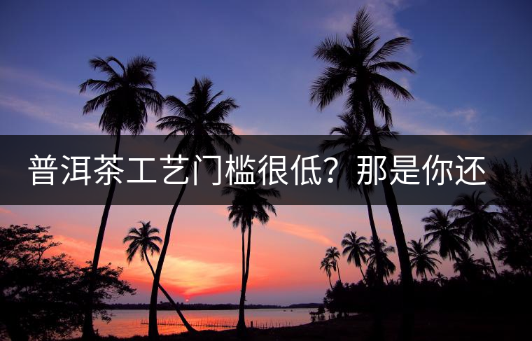 普洱茶工藝門(mén)檻很低？那是你還沒(méi)有參透工藝與自然之間的奧秘！