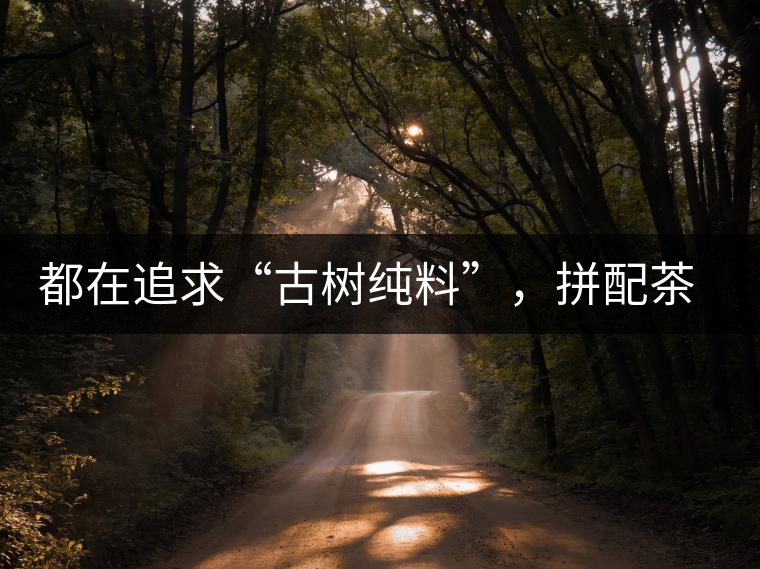 都在追求“古樹(shù)純料”，拼配茶真的不如純料的？