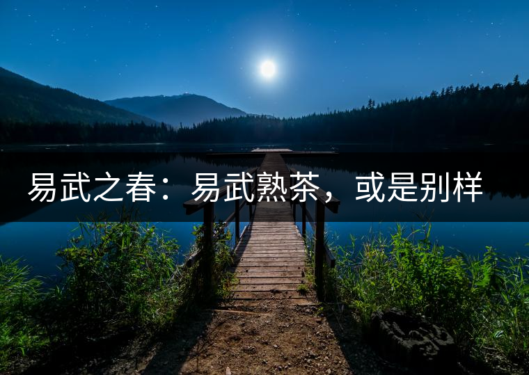 易武之春：易武熟茶，或是別樣風(fēng)采丨賞鑒