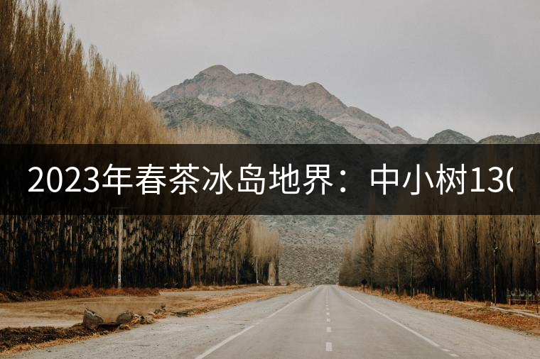 2023年春茶冰島地界：中小樹1300-1500元／公斤，古樹2200~2500元／公斤