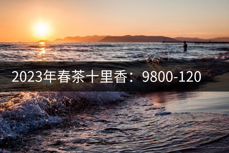 2023年春茶十里香：9800-12000元／公斤，十里香紅茶：9800-12000元／公斤