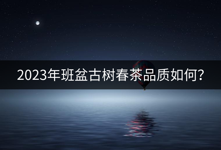 2023年班盆古樹春茶品質(zhì)如何？