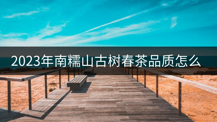 2023年南糯山古樹春茶品質(zhì)怎么樣？
