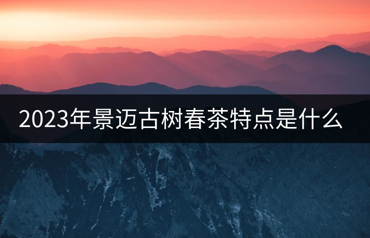 2023年景邁古樹春茶特點(diǎn)是什么？