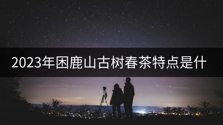 2023年困鹿山古樹春茶特點(diǎn)是什么？