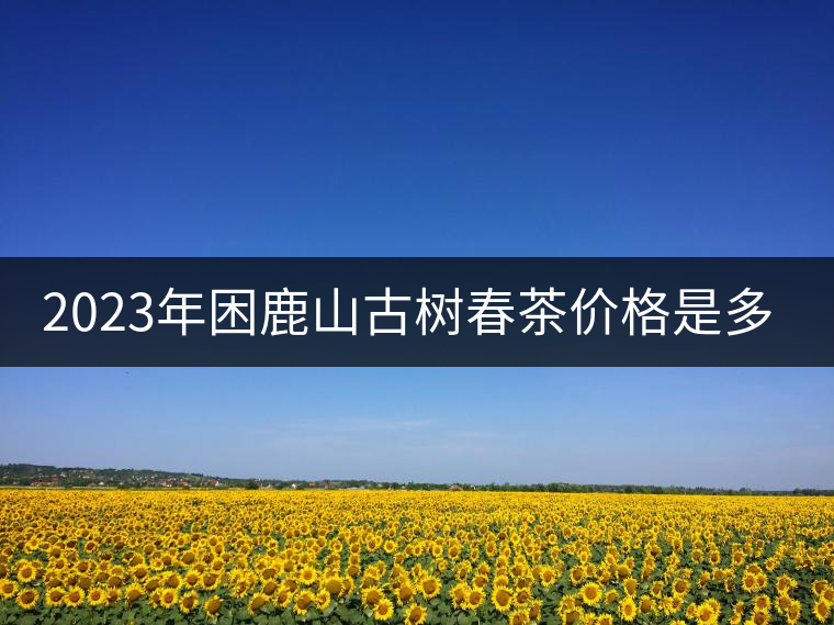 2023年困鹿山古樹春茶價格是多少？