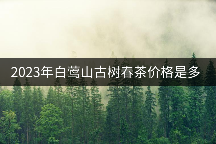 2023年白鶯山古樹春茶價(jià)格是多少？