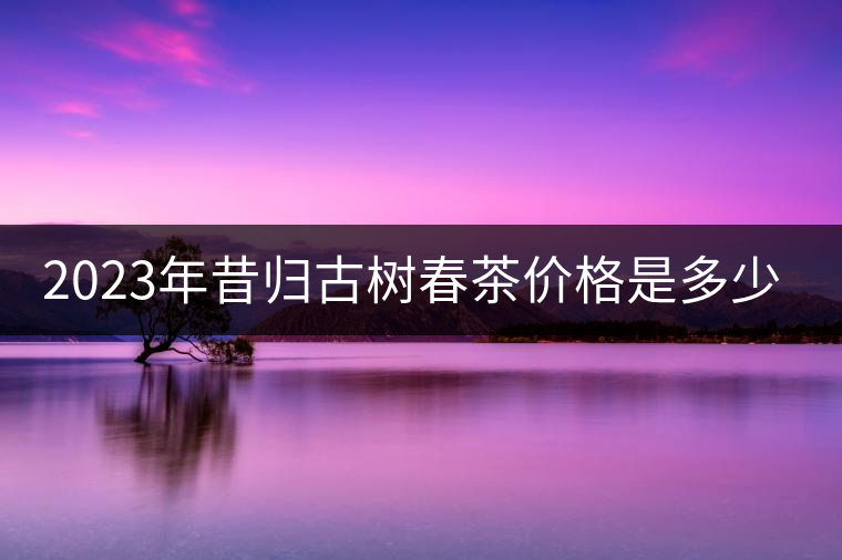 2023年昔歸古樹春茶價格是多少？