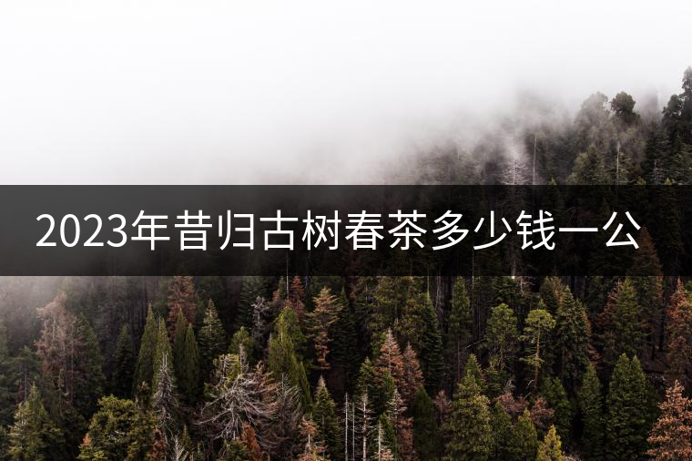 2023年昔歸古樹春茶多少錢一公斤？