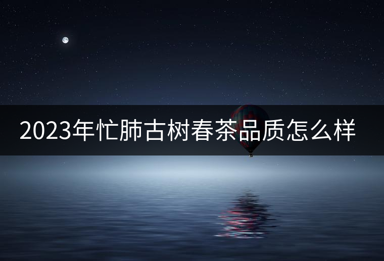 2023年忙肺古樹(shù)春茶品質(zhì)怎么樣？
