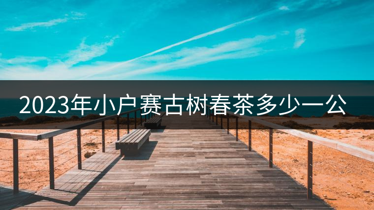 2023年小戶賽古樹春茶多少一公斤？