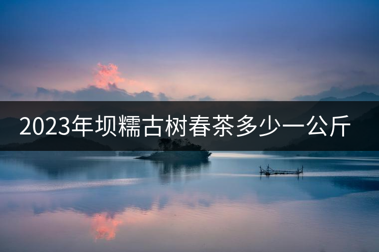 2023年壩糯古樹春茶多少一公斤？