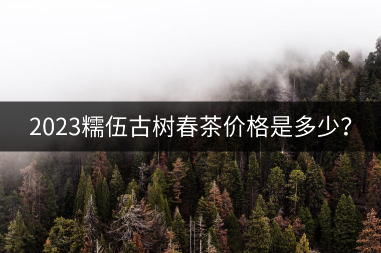 2023糯伍古樹春茶價(jià)格是多少？