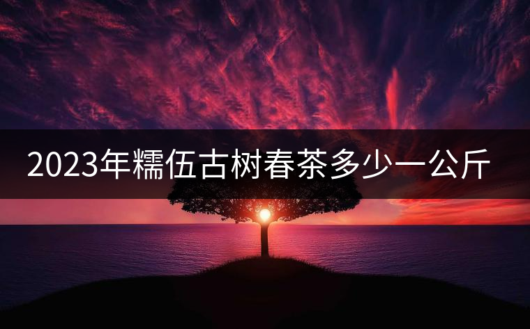 2023年糯伍古樹春茶多少一公斤？
