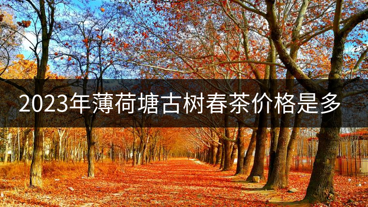 2023年薄荷塘古樹春茶價(jià)格是多少？