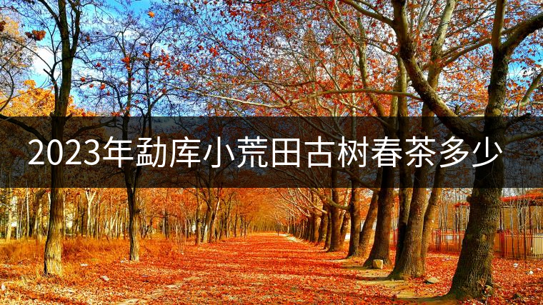 2023年勐庫小荒田古樹春茶多少一公斤？