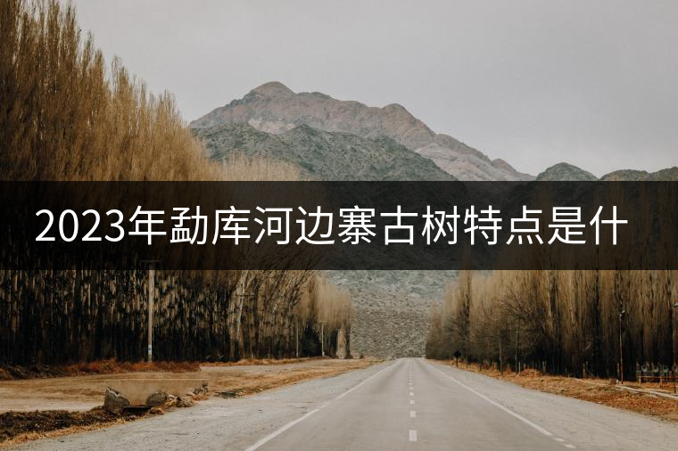 2023年勐庫河邊寨古樹特點是什么？