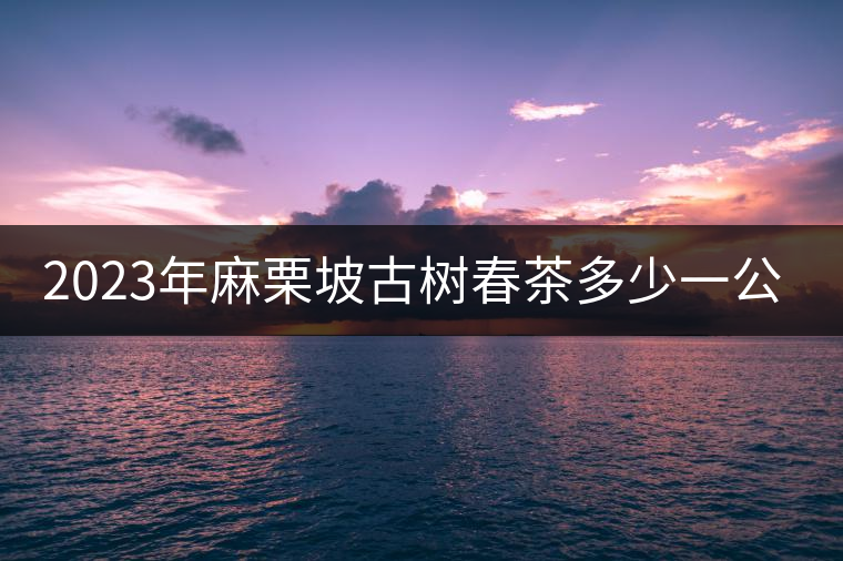 2023年麻栗坡古樹春茶多少一公斤？