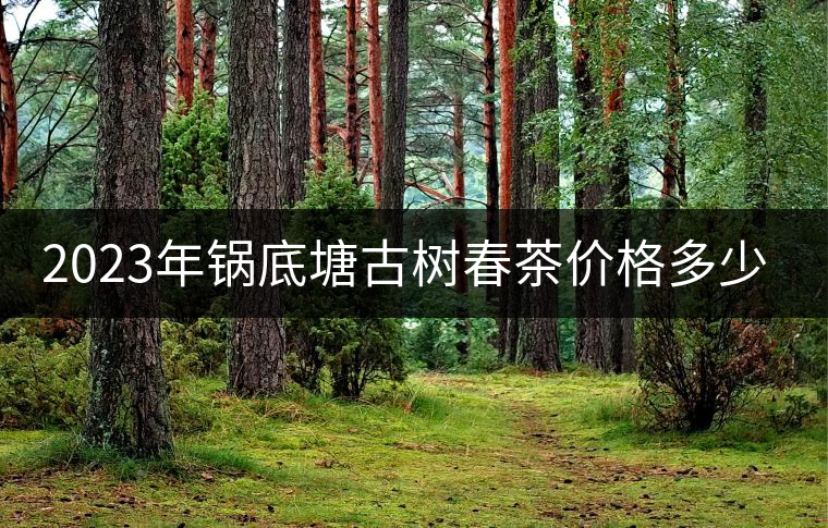 2023年鍋底塘古樹春茶價(jià)格多少？