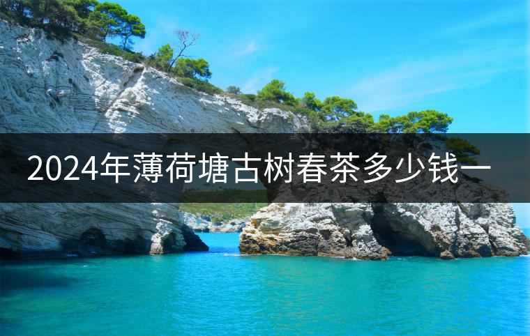 2024年薄荷塘古樹春茶多少錢一公斤？