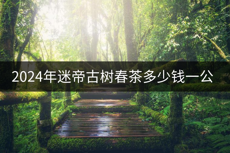 2024年迷帝古樹春茶多少錢一公斤？