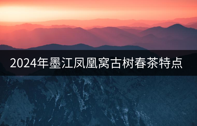 2024年墨江鳳凰窩古樹春茶特點是什么？