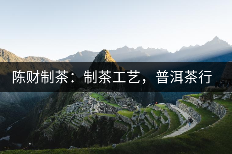 陳財(cái)制茶：制茶工藝，普洱茶行業(yè)的生死線