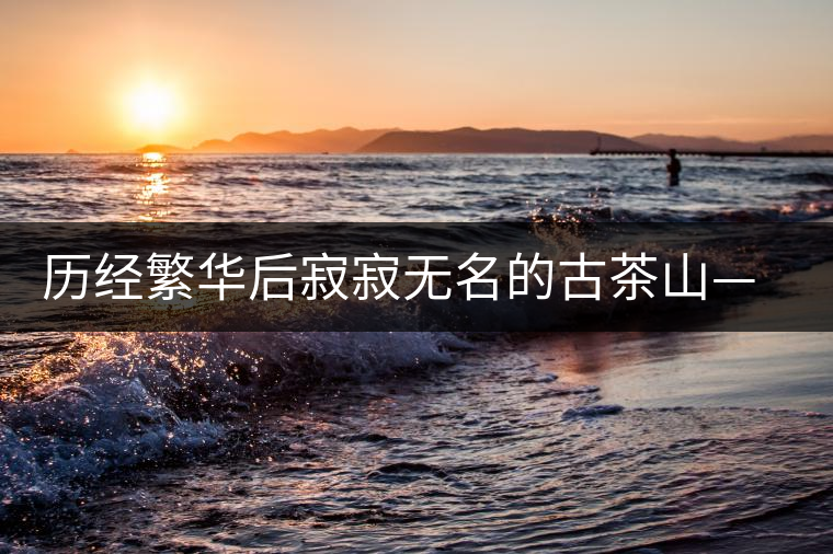 歷經(jīng)繁華后寂寂無(wú)名的古茶山——莽枝 歷經(jīng)繁華后寂寂無(wú)名的古茶山——莽枝