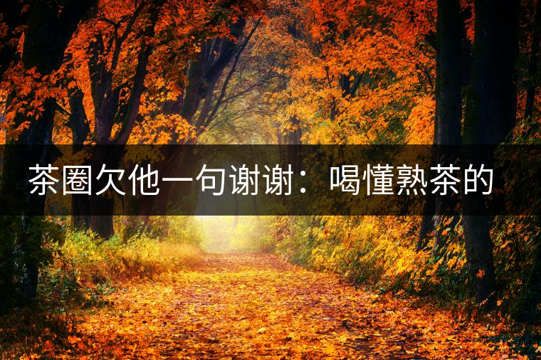 茶圈欠他一句謝謝：喝懂熟茶的人，都該記住陳佩仁這個名字