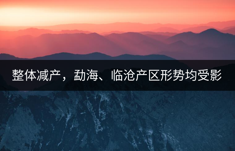 整體減產(chǎn)，勐海、臨滄產(chǎn)區(qū)形勢均受影響